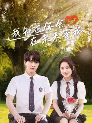 我知道你会在未来等我(全集)