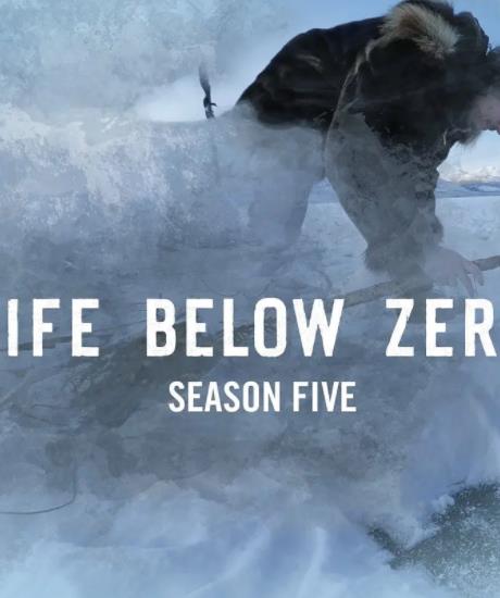 零度以下的生活第五季(全集)