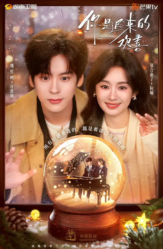 你是迟来的欢喜(全集)